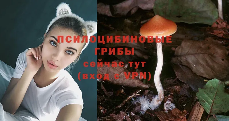 KRAKEN ссылки  Верхоянск  Псилоцибиновые грибы Magic Shrooms 